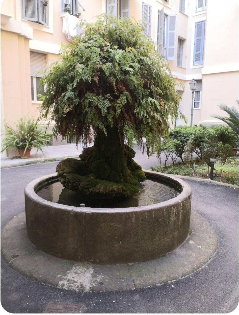 Unconventional Stay Roma Ngoại thất bức ảnh